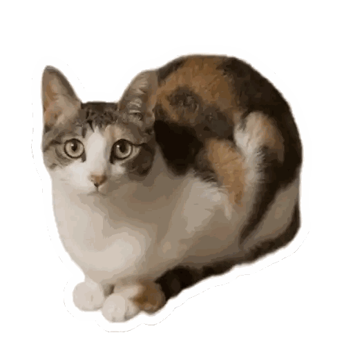Calico Cat Sitting And Looking Sticker