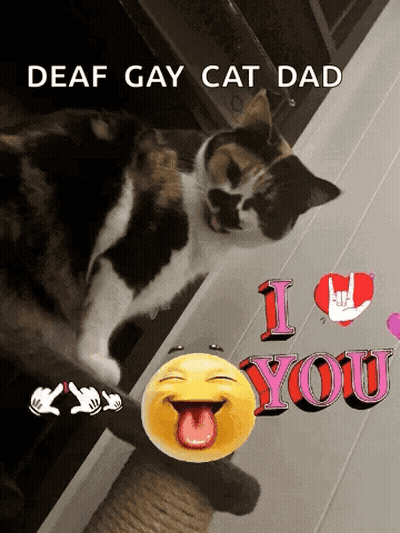 Calico Cat Tongue Out Sign Deaf Gay Cat Dad I Love You GIF