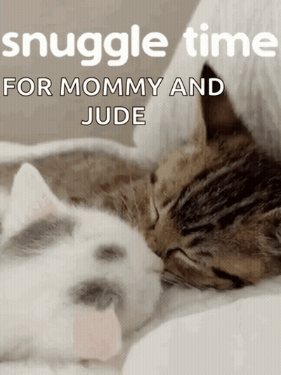 Calico Kitten Sleeping On White Blanket GIF