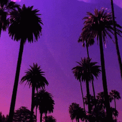 California Beverly Hills GIF