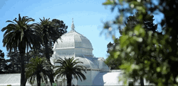 California Golden Gate Park GIF