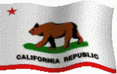 California Republic Flag With Bear And Star GIF