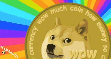 Calishibe714 Wow GIF