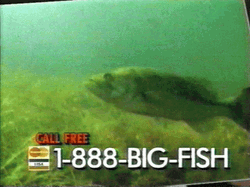 Call Big Fish 1-888