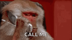 Call Me Funny Monkey Telephone Meme GIF