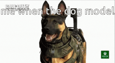 Call Of Duty Ad Dog Wearing Helmet GIF