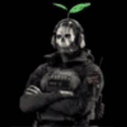 Call Of Duty Ghost Leaves On Head GIF