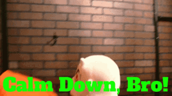 Calm Down Bro Naughty Puppet GIF