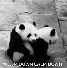 Calm Down Cute Panda Hug GIF