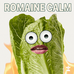 Calm Down Funny Romaine Meme GIF