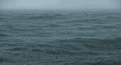 Calm Gray Ocean