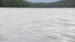 Calm Moving Water Loop GIF