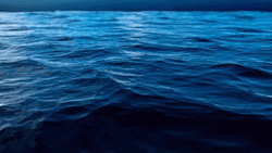 Calm Ocean Waves GIF