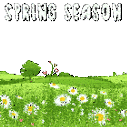 Calm Spring Sticker GIF