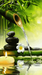 Calming Bamboo Water Zen Candle GIF