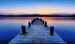 Calming Bridge Lake GIF