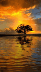 Calming Lake Water Sunset Sky GIF