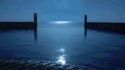 Calming Silence Night GIF
