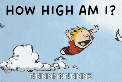 Calvin And Hobbes Flying How High Am I GIF