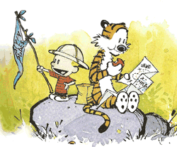 Calvin And Hobbes Friends Adventure