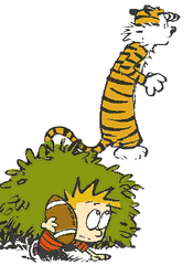 Calvin And Hobbes Hide-and-seek