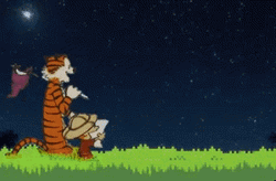 Calvin And Hobbes Shooting Star Night