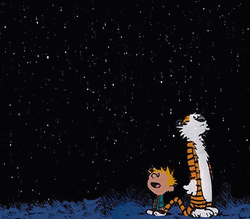 Calvin And Hobbes Starry Night Sky