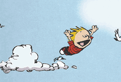 Calvin And Hobbes Time To Fly GIF
