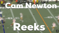 Cam Newton Reeks Meme NFL GIF
