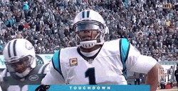 Cam Newton Touchdown Deep Breath GIF