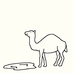 Camel Drink Eruption Doodle