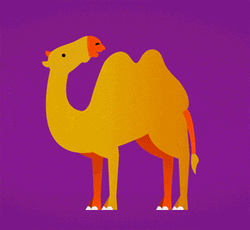 Camel Hump Lightning Art