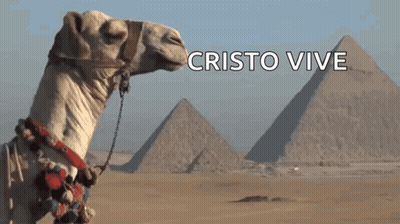 Camel In Front Of Pyramids Cristo Vive GIF