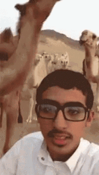 Camel No To Selfie Kick