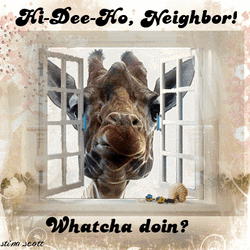 Camel Outside Window Whatcha Doin GIF