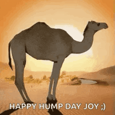 Camel Standing In Desert Saying Happy Hump Day Joy GIF