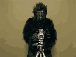 Camera Ape Calling Out