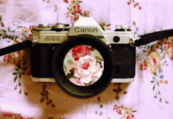 Camera Lens Flowers GIF