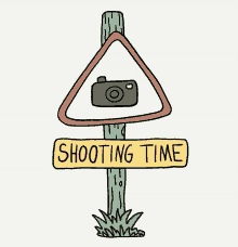 Camera Picture Shooting Sign Animation