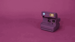 Camera Purple Polaroid