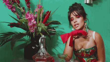 Camila Cabello Camila GIF