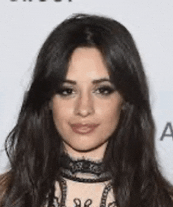 Camila Cabello Meme GIF