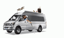 Camper Hitting Pine Trees GIF