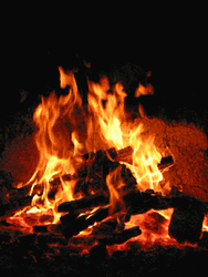 Campfire Bonfire Burning GIF