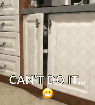 Can't Do It Cabinet GIF