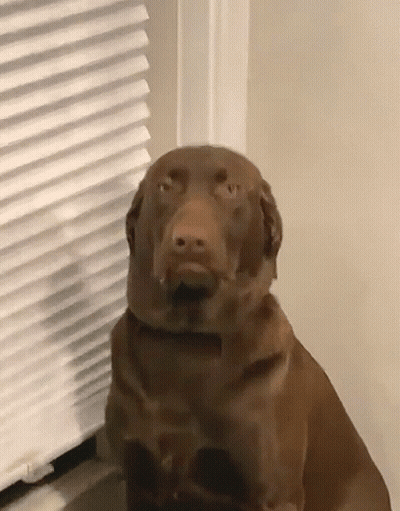 Can't Sleep Before Early Wake Up GIF