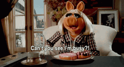 Can't You See I'm Busy GIF