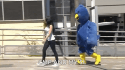 Can You Stop To Follow Me Up GIF