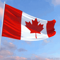 Canada Flag Dancing In Wind GIF