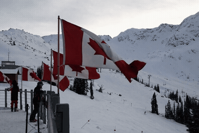 Canadian Flag Flying In Wind And Snow GIF